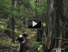 Fearless Bike Video